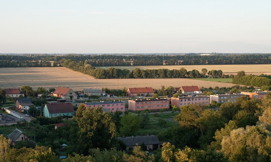 Widok z wieży w parku w Turwi