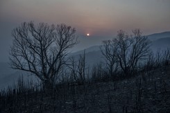 Władze Hiszpanii: Pożar w prowincji Zamora największym w historii kraju