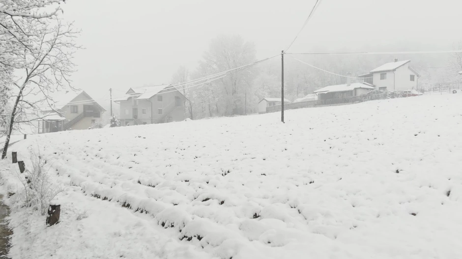 cacak 1615362296cacak-sneg-pao-fotorina2