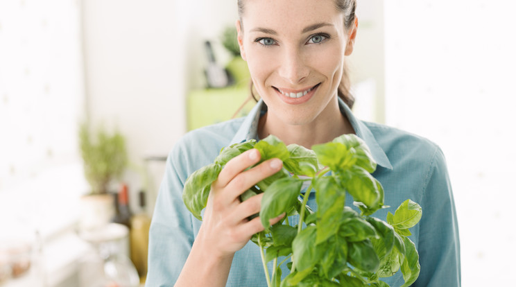 Cserépben, a konyha ablakában is nevelhetjük őket /Fotó: iStock