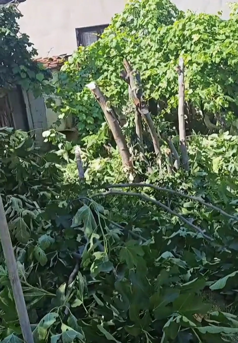 Nova kuća Dejana Dragojevića