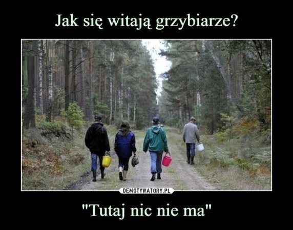 Sezon na grzyby rozpoczęty