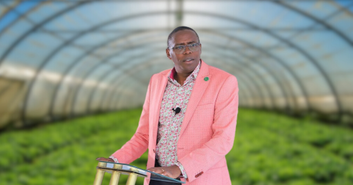 How To Stand Out in a Crowd – George Wachiuri – C.E.O Optiven Group
