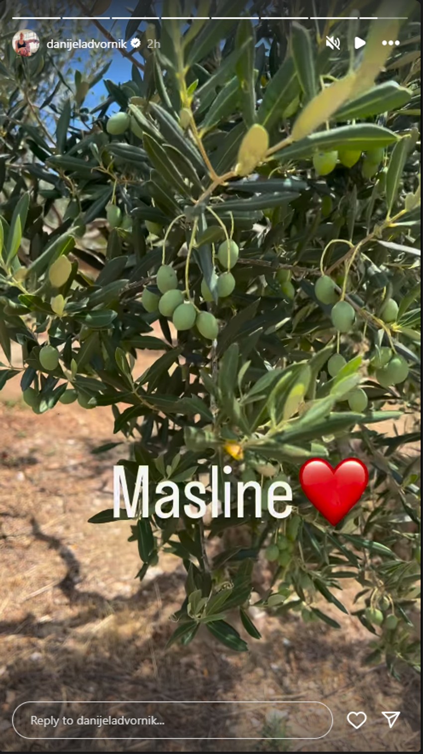 Danijela Dvornik se pohvalila plodovima iz voćnjaka
