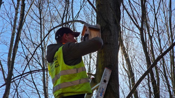 Czyszczenie budek dla ptaków