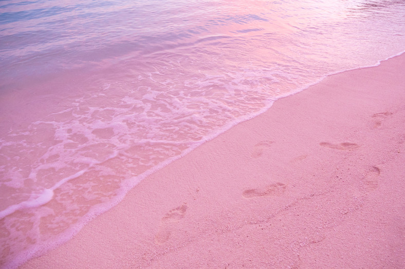 Pink Sands Beach