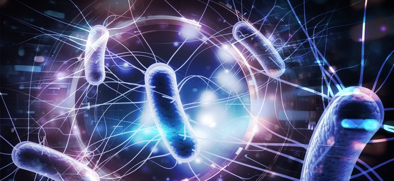 [QUIZ] Czy uważałeś na lekcjach biologii? 8/10 punktów to wstyd