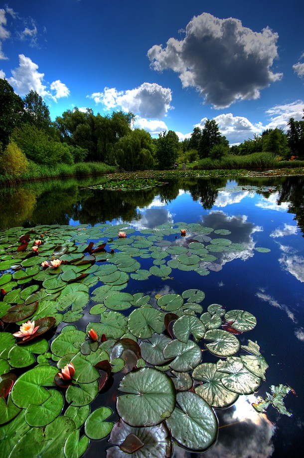 Miejski Ogród Botaniczny w Łodzi