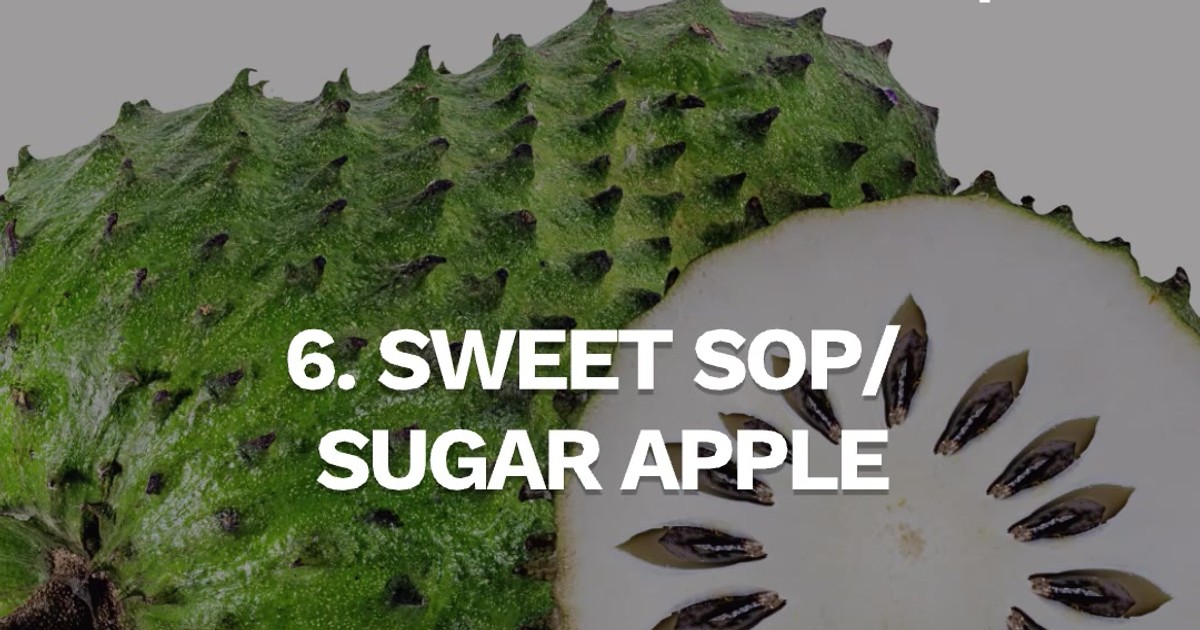 7 NIGERIAN FRUITS WITH ENGLISH NAMES YOU PROBABLY DIDN’T KNOW | Pulse