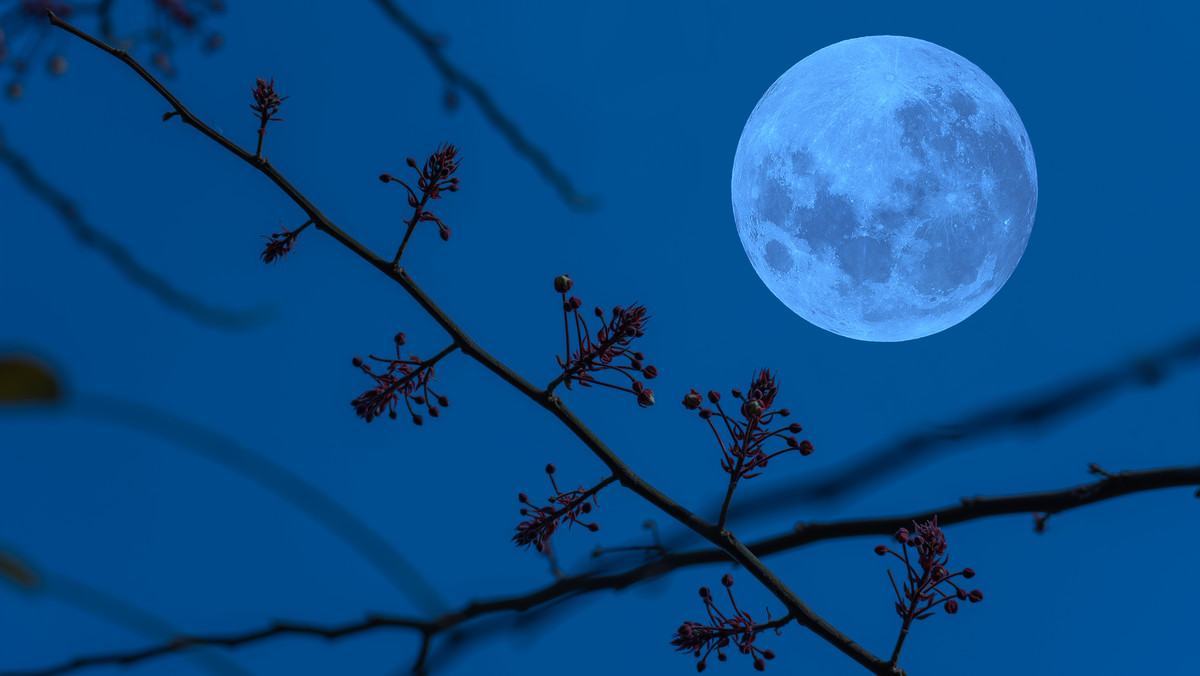 Robaczy księżyc nadchodzi. Kiedy będzie pełnia w marcu 2024?