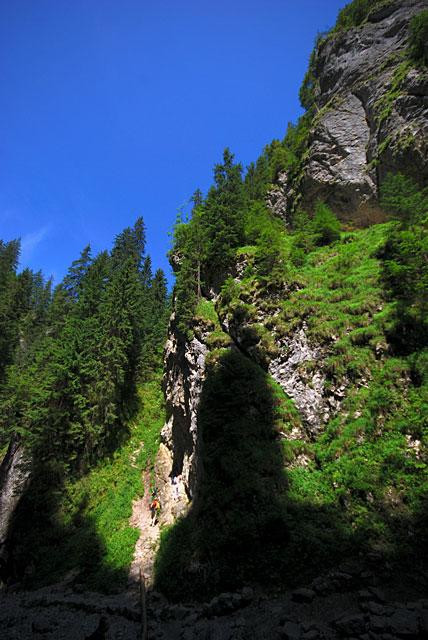 Galeria Polska - Tatry - Wąwóz Kraków, obrazek 16