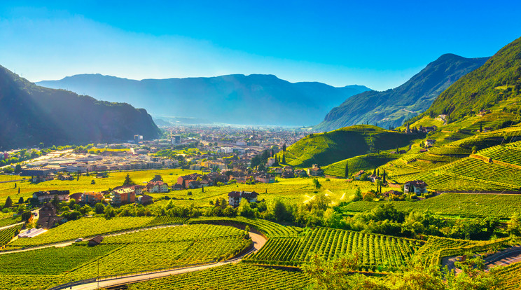 Alto Adige mélyen az olasz Alpokba fészkelve, Ausztria és Svájc határán található. A főváros, Bolzano a legjobb hely a dolomitok boros kalandjainak elindításához Fotó:  Shutterstock