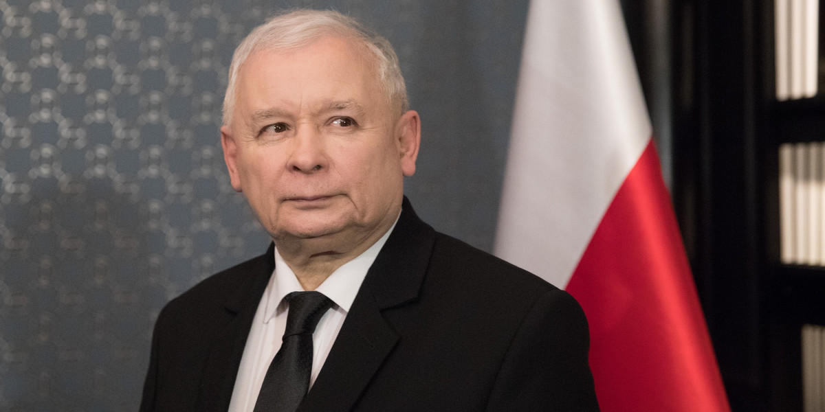 Jarosław Kaczyński zapowiedział zmiany w przepisach dot. wycinki drzew bez zezwolenia