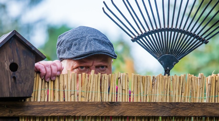 Fotó: Shutterstock