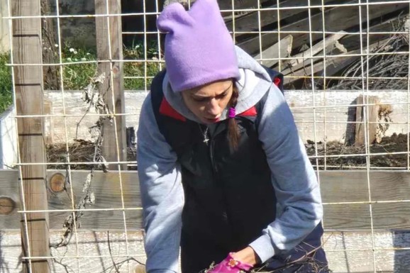 NAKON RAZVODA U RADNIČKOM ODELU OKOPAVA BAŠTU Bivša žena Miodraga Dragičevića u ovome našla spas (Foto)