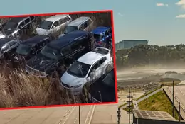 Odkryli gigantyczne cmentarzysko samochodów. Wyjątkowe okazy w Fukushimie [WIDEO]