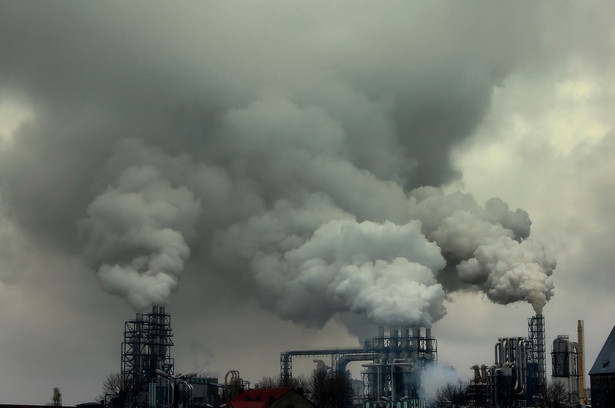 „W przybliżeniu jedna piąta kosztów zanieczyszczenia powietrza w Europie przez przemysł pochodzi z obiektów znajdujących się w Niemczech, co stanowi najwyższy udział w UE”