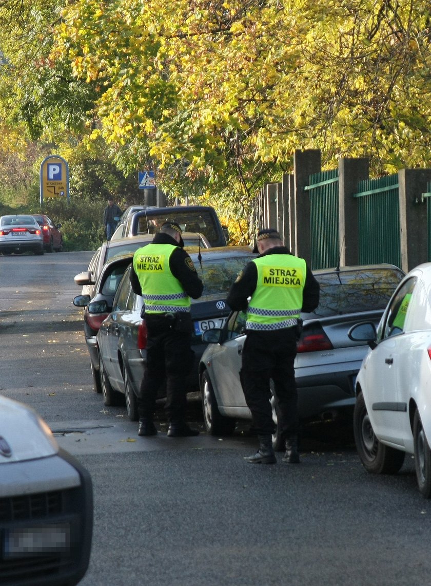 strażnicy miejscy z Gdańska wypisują mandat