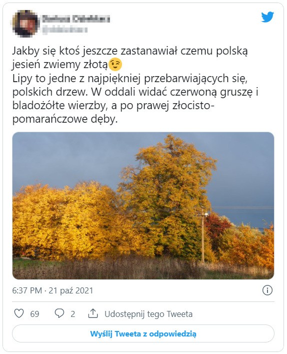 Złota polska jesień