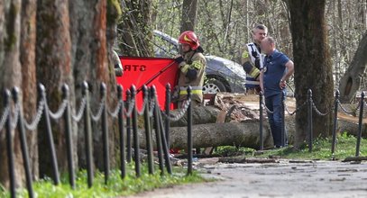 Tragedia w Rabce. To był ostatni spacer pani Haliny. Runęło na nią drzewo