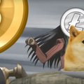 Absurd na rynku kryptowalut. Dogecoin jest wart ponad 2 mld dolarów, choć miał być żartem
