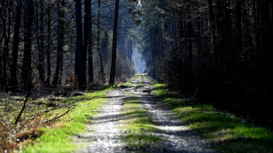 Zaskakujący finał powrotu z sanatorium. Zawiniła nawigacja