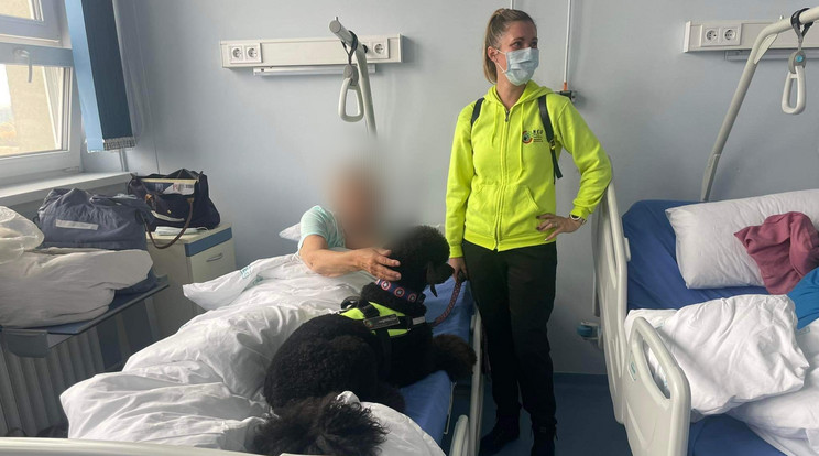 Mázli, a fekete óriás uszkár terápiás kutyaként megnyugtatja, felvidítja a betegeket, így segíti a gyógyulást / Fotó: Blikk
