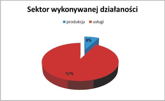 3. Sektor wykonywanej działakności