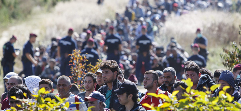 Jak zostać Syryjczykiem? Tak "mnożą" się uchodźcy z Syrii... Dziennikarze prześwietlili proceder