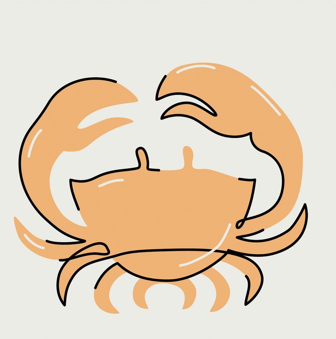 Rak