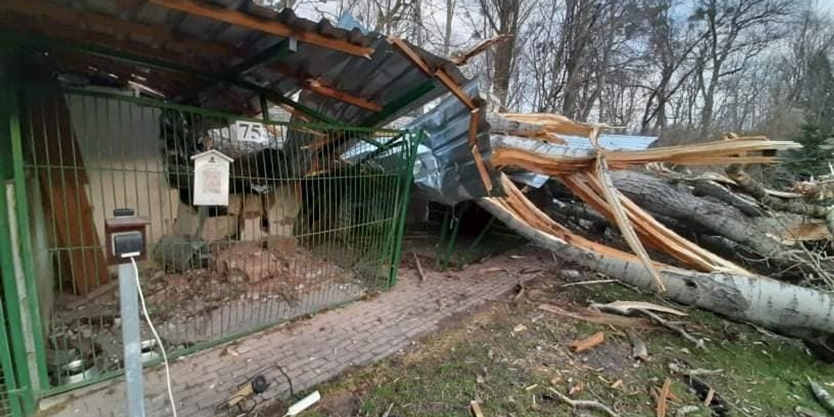 Toruń. Wichura zniszczyła schronisko dla zwierząt. 