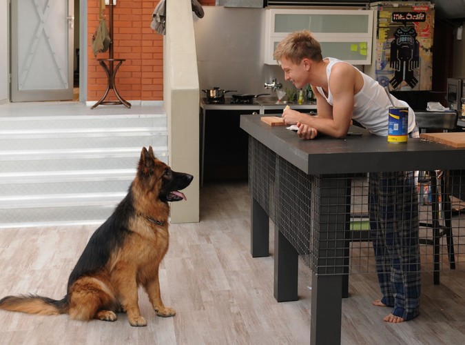 ale również pełnych humoru epizodów.