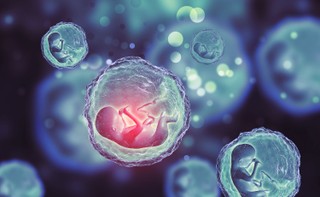 Dziś sejmowa Komisja Nadzwyczajna zajmie się projektami dotyczącymi aborcji. Wiemy, co zakładają