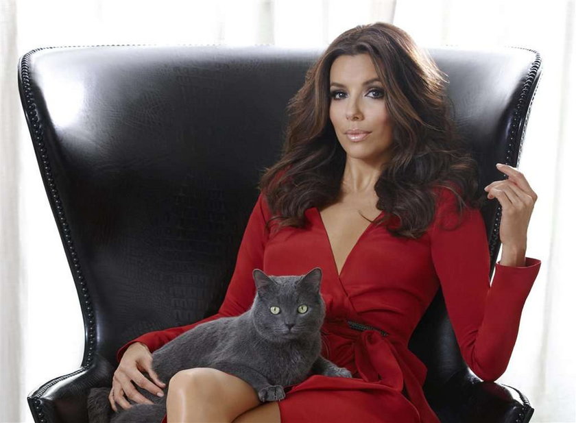 Eva Longoria reklama karmy Sheba