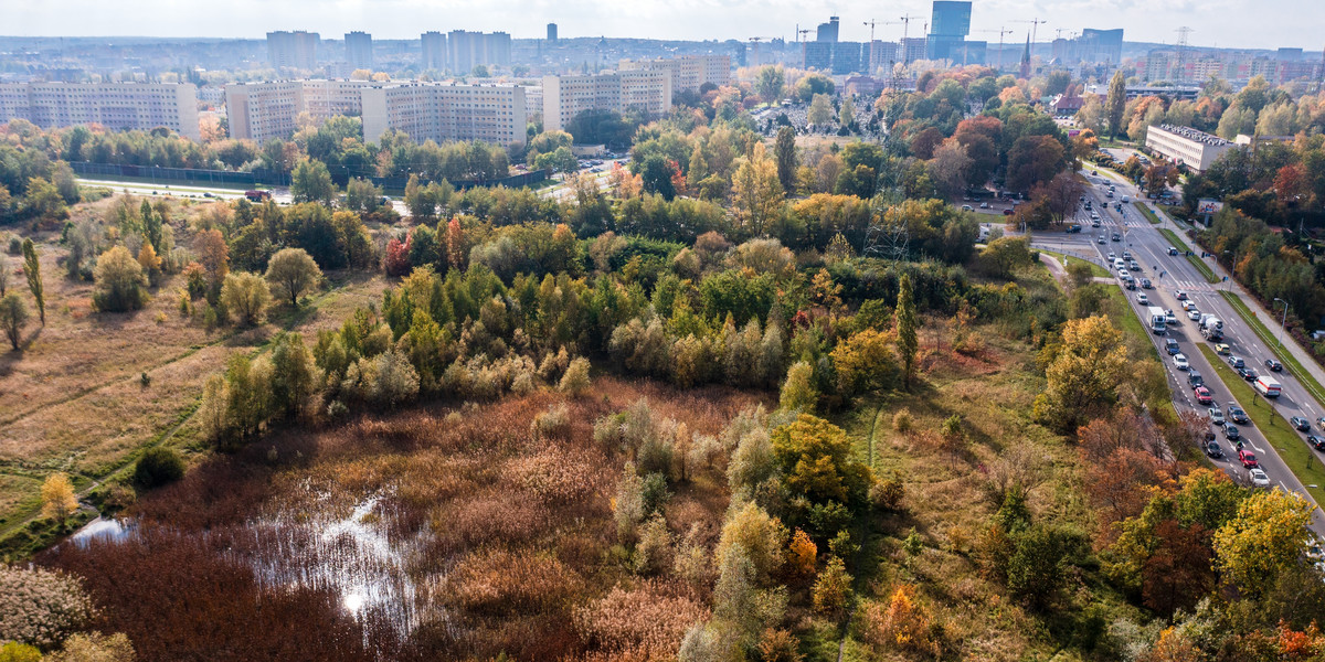 Nieużytek na pograniczu Bogucic, Zawodzia i Dąbrówki Małej, gdzie powstanie nowa przestrzeń parkowa.