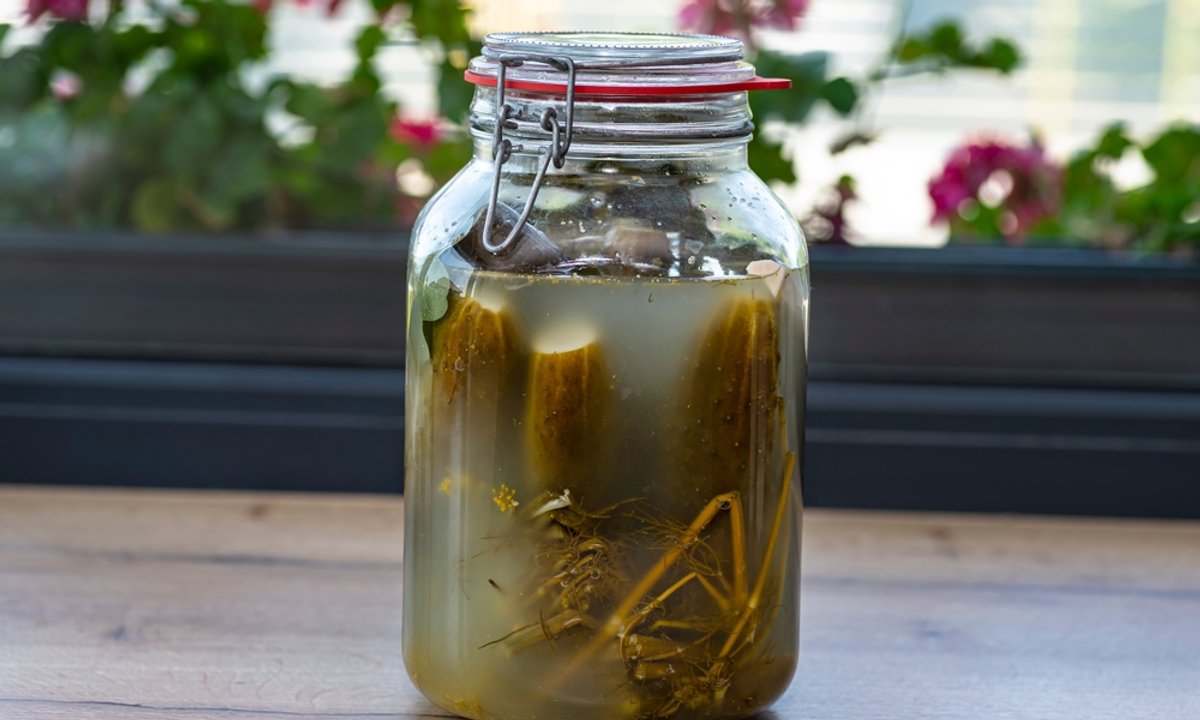 Biały nalot na ogórkach wielu z nas obrzydza. Czy należy je wyrzucić?