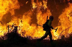 Portugalia w ogniu. Tysiące strażaków walczy z 33 pożarami