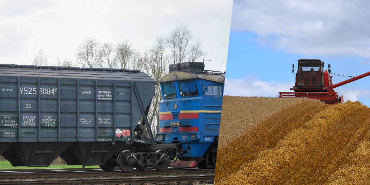 Ministerstwo Rolnictwa podało nam dane o transporcie zboża technicznego.