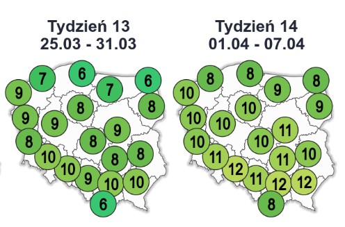 W czasie świątecznego tygodnia (25-31.03) temperatura maksymalna średnio wyniesie od 6 do 10 st. C