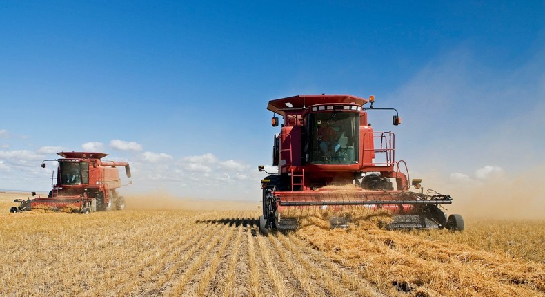 More than a third of the Earth's land is devoted to food production.4loops/Getty Images