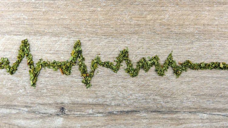 szívritmuszavar esélye orvosi kannabisz kutatás