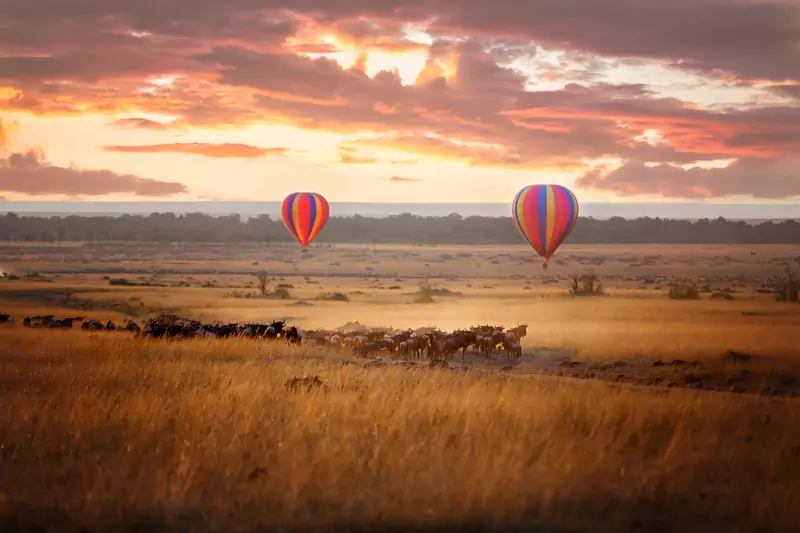 Masai Mara to jeden z najpiękniejszych parków z dzikimi zwierzętami w Afryce