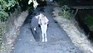 Sofija Janićijević i Dane