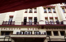 Koszyk hinduski zarobił najwięcej