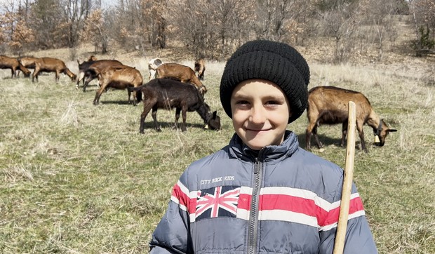 Nemanja Trajković