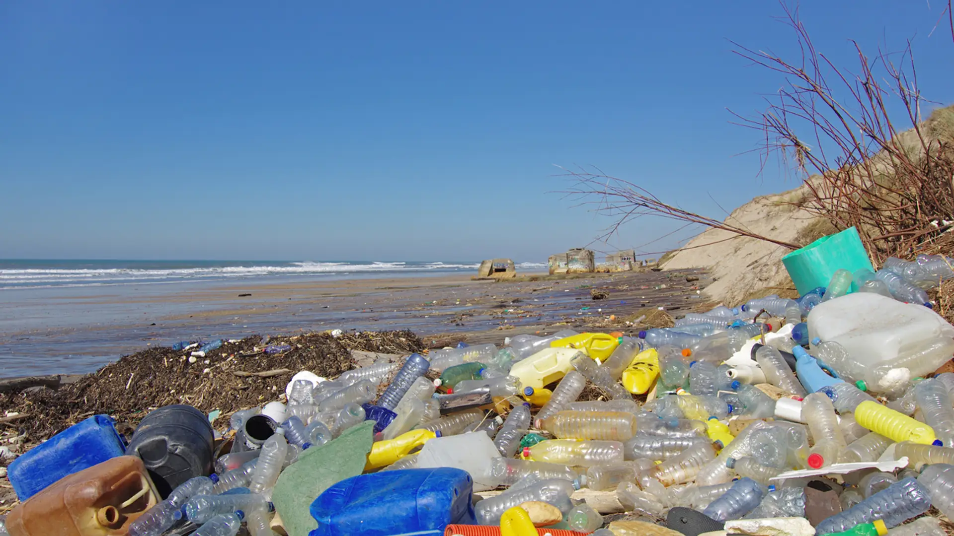 To koniec wysypisk śmieci? Naukowcy przez przypadek zrobili enzym, który rozkłada plastik w kilka dni