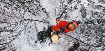 Tylko u nas! Najniebezpieczniejszy zawód świata. Drwal zdradza kulisy pracy