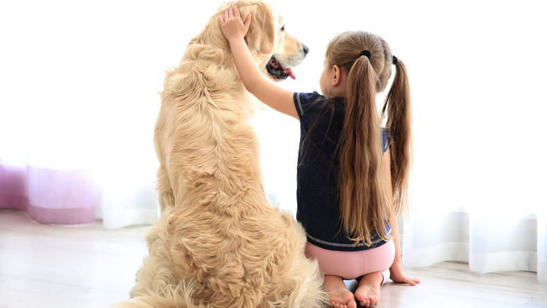 Dziewczynka z psem