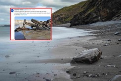 Sztorm odsłonił na plaży niezwykłe znalezisko. Nie wiadomo, skąd pochodzi
