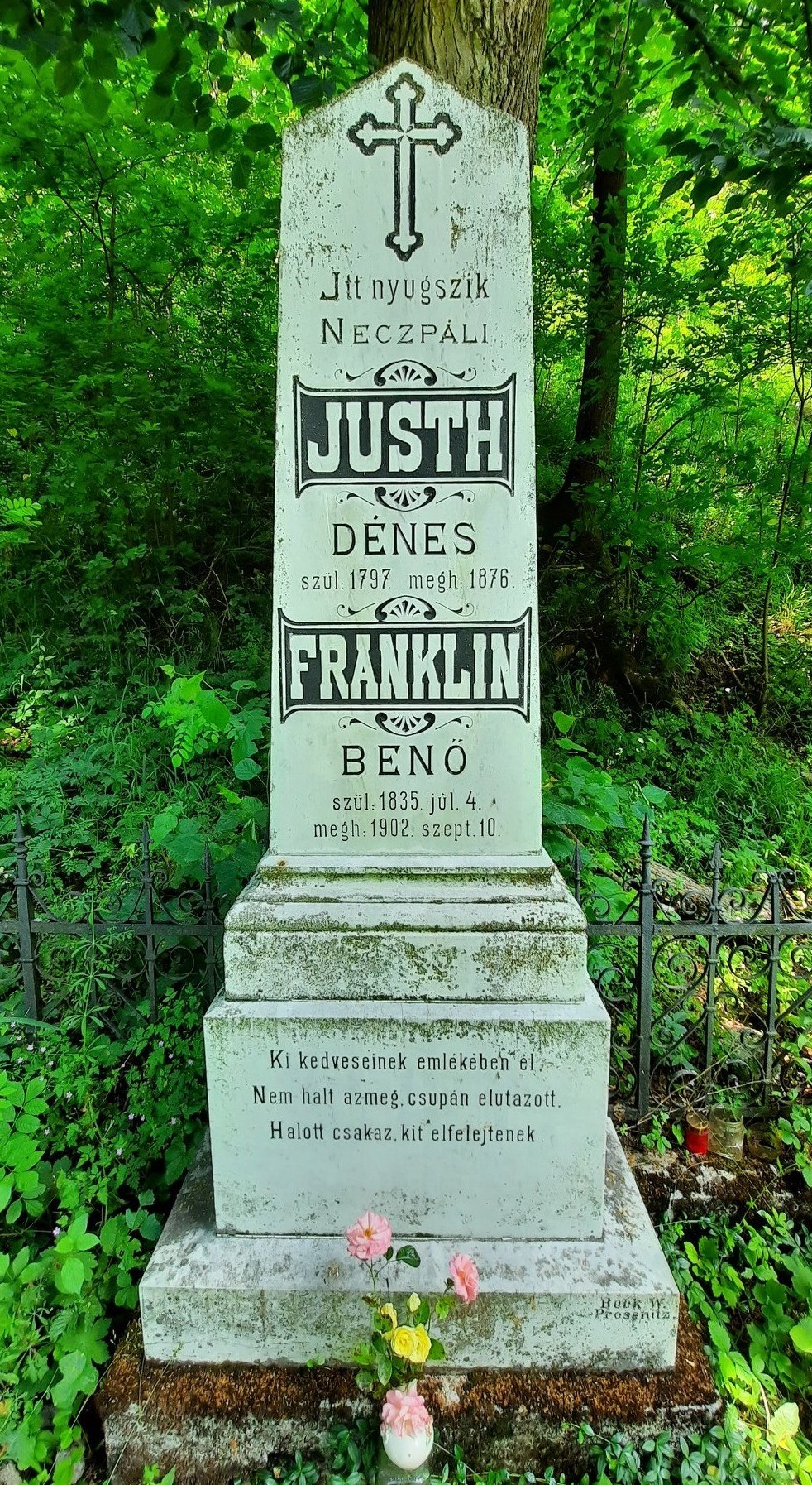 Franklinovský kaštieľ v Turci